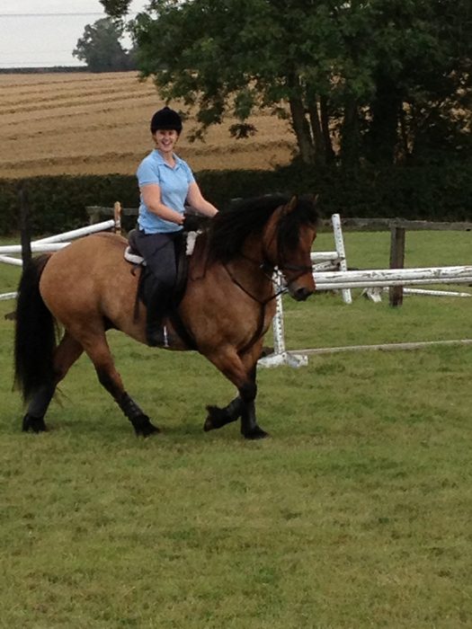 Riding Lesson with a Riding Instructor
