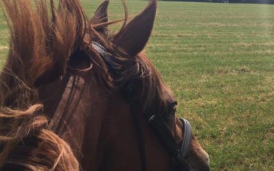 Overcome anxiety about riding in front of other people