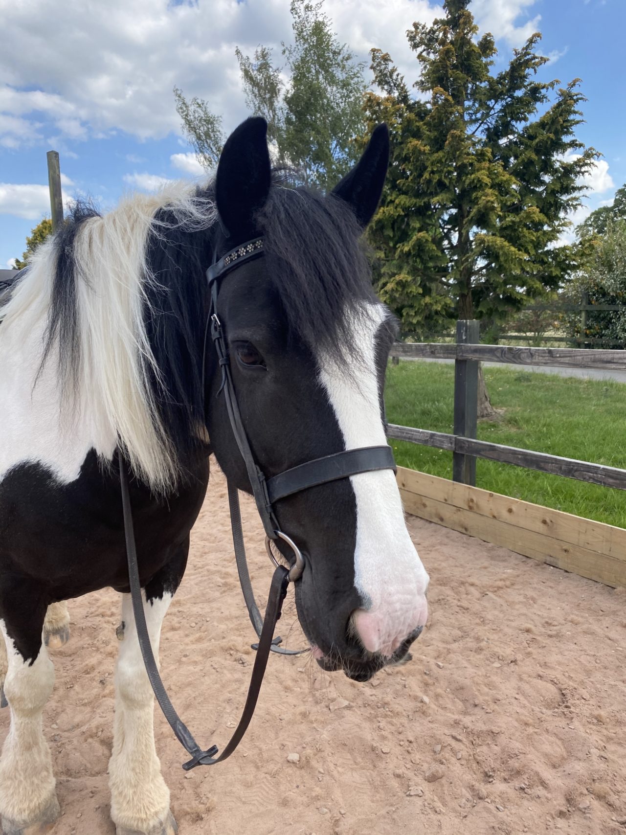 6 exercises to help keep your heels down when riding The Everyday