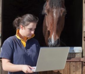 How Video Coaching Can Help Horses and Riders