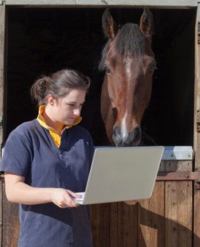 How Video Coaching Can Help Horses and Riders