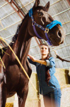 10 Reasons Why You Should Join My Horse Management Course
