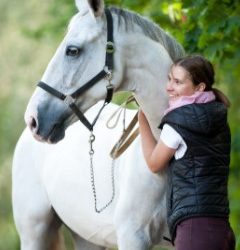 New Horse Owners: What you need to know about caring for your horse