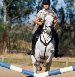 What to do if you’re scared to jump your horse