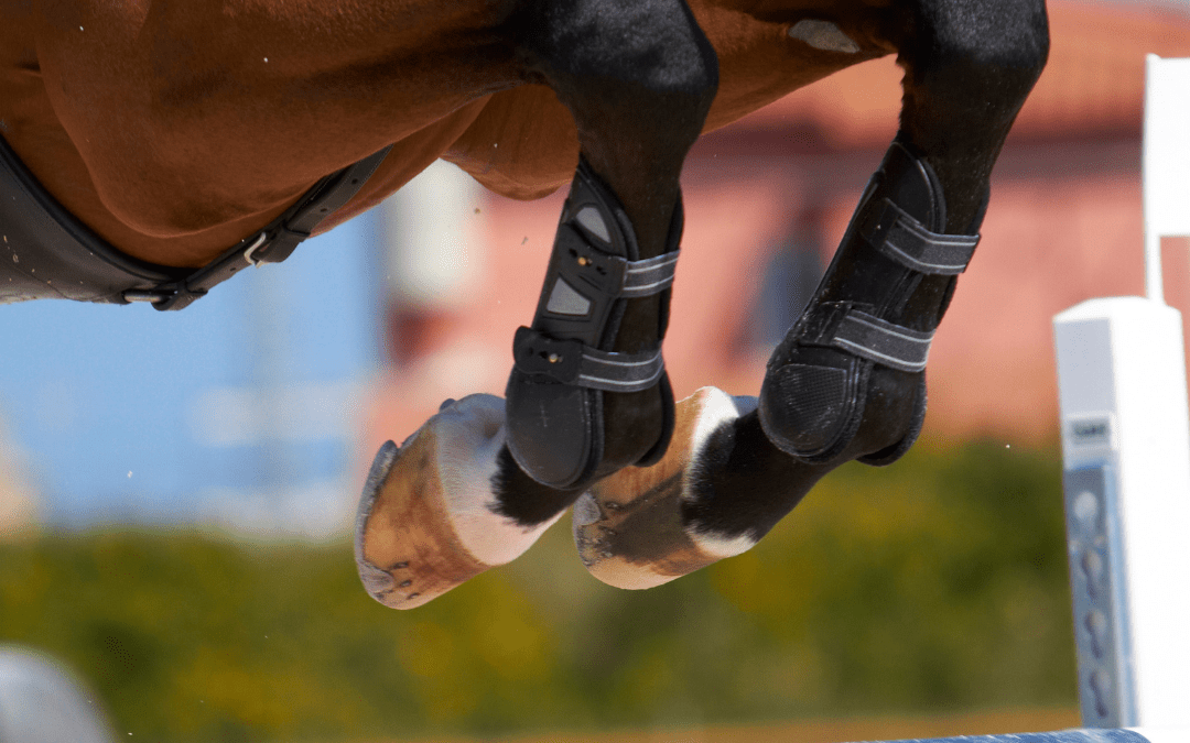 8 Top Tips for Nervous Horse Riders