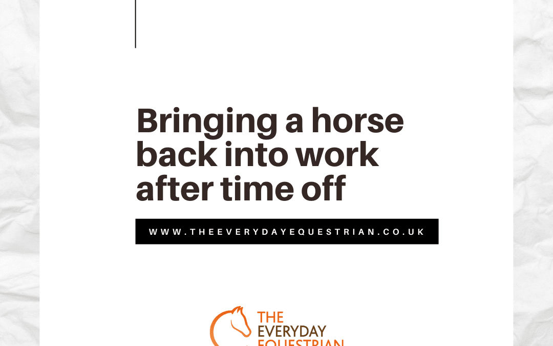 Bringing a horse back into work after time off