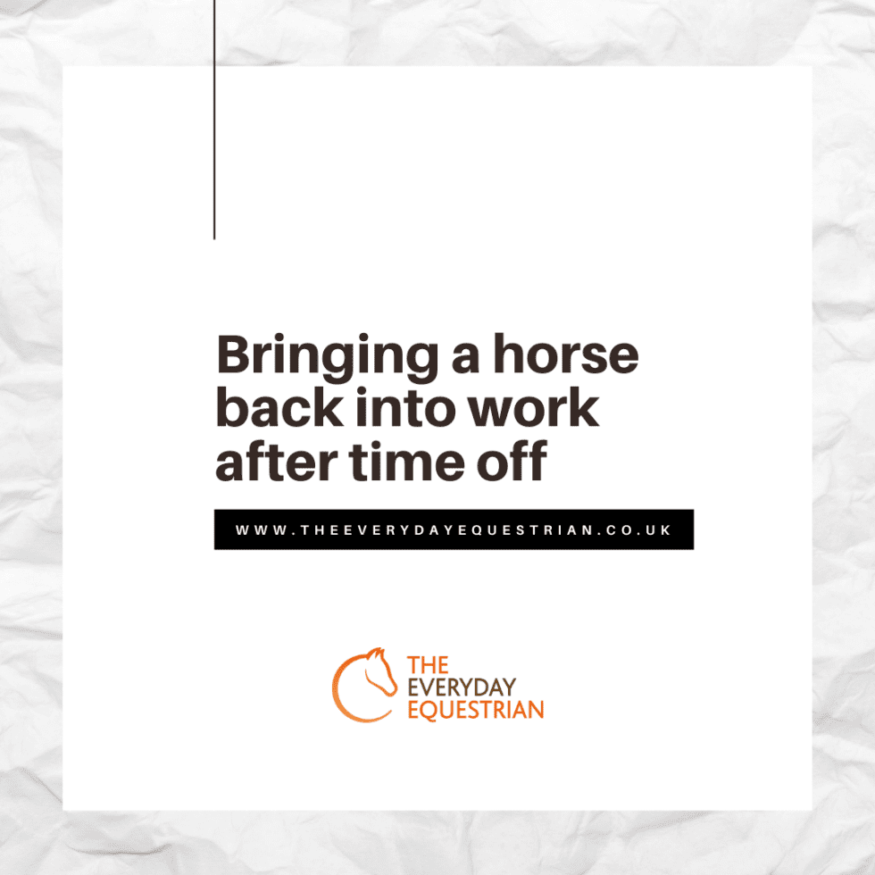 Bringing a horse back into work after time off The Everyday Equestrian