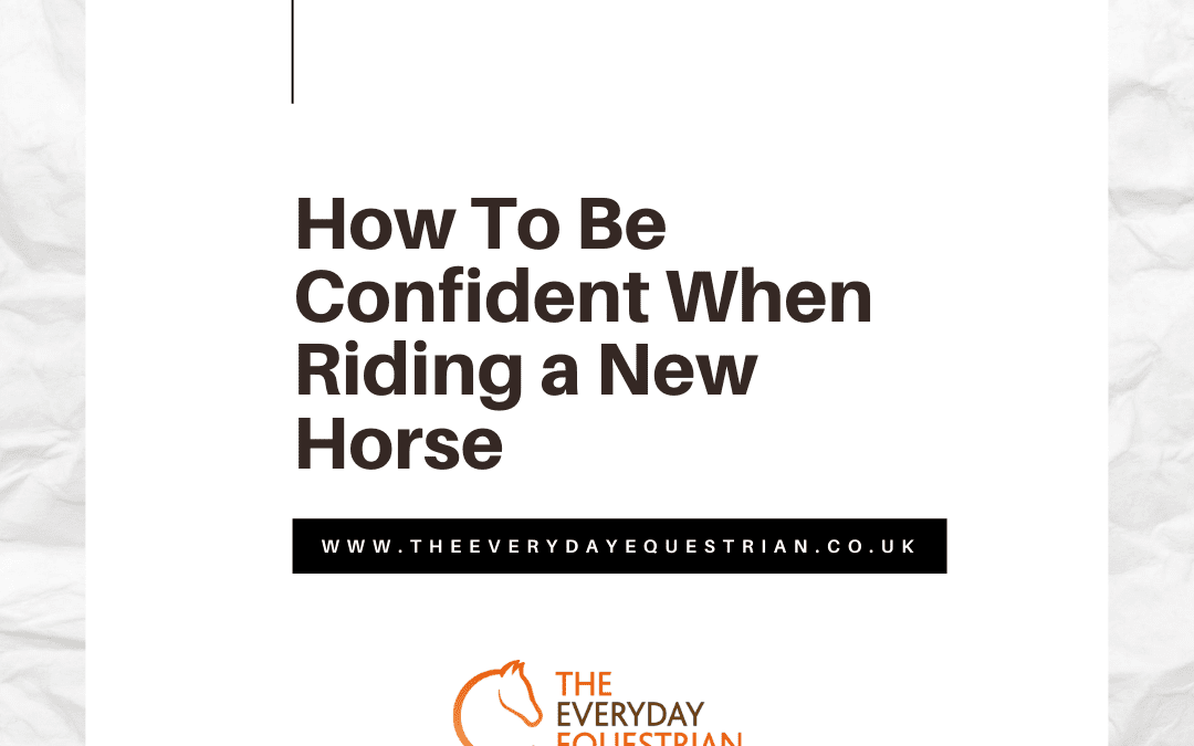 How To Be Confident When Riding a New Horse