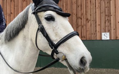 How to ride a spooky horse positively and effectively