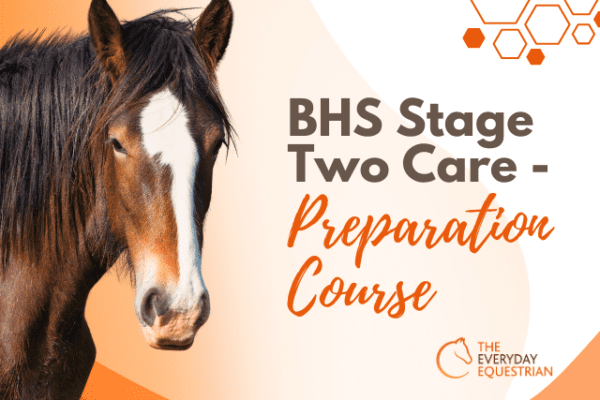 BHS Stage 2 Care