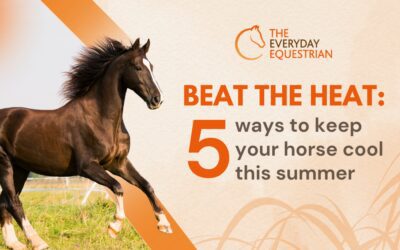 Beat the heat: 5 ways to keep your horse cool this summer