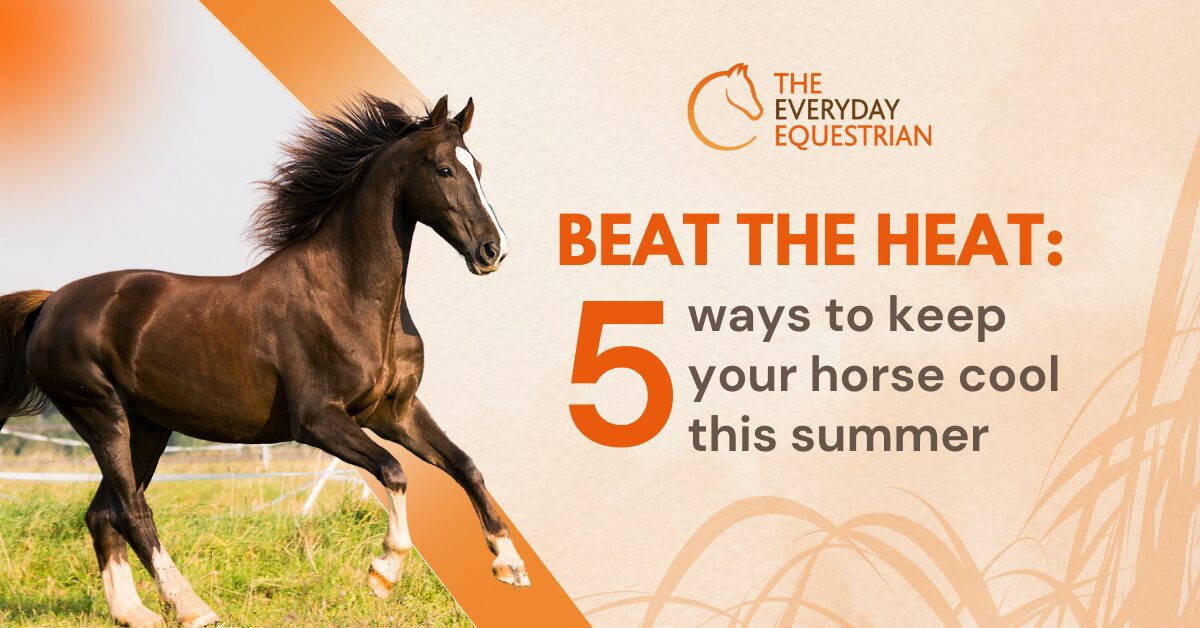 Beat the heat - 5 ways to keep your horse cool this summer