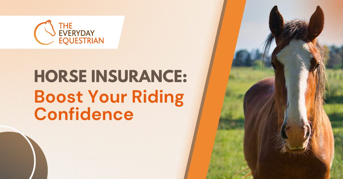 Horse Insurance