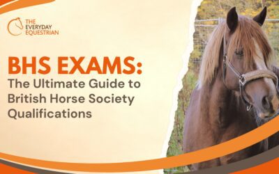 BHS Exams – The Ultimate Guide to British Horse Society Qualifications