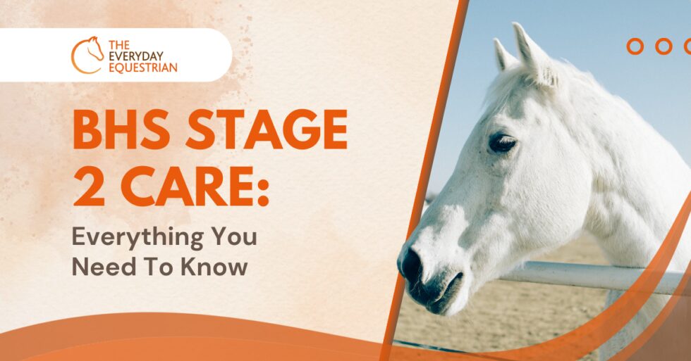 BHS Stage 2 Care Everything You Need To Know The Everyday Equestrian