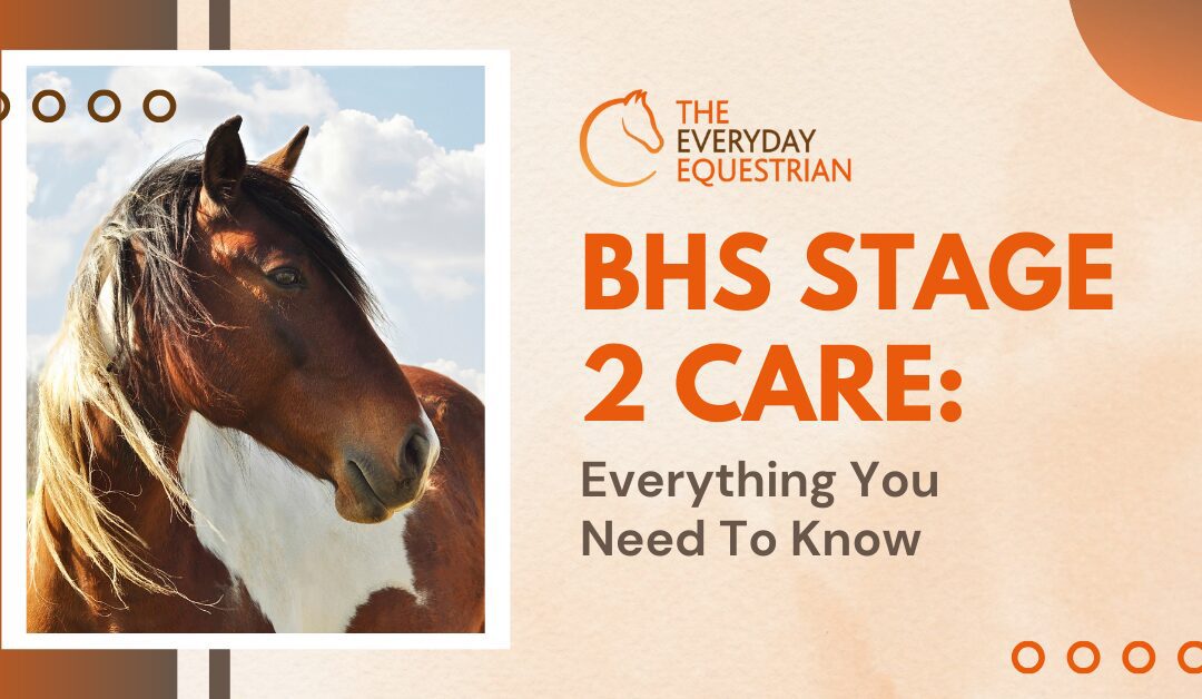 BHS Stage 2 Care: Everything You Need To Know