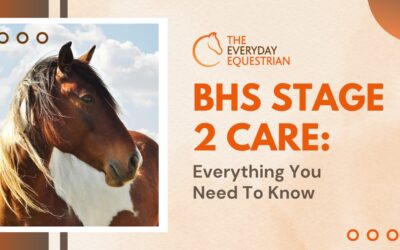 BHS Stage 2 Care: Everything You Need To Know