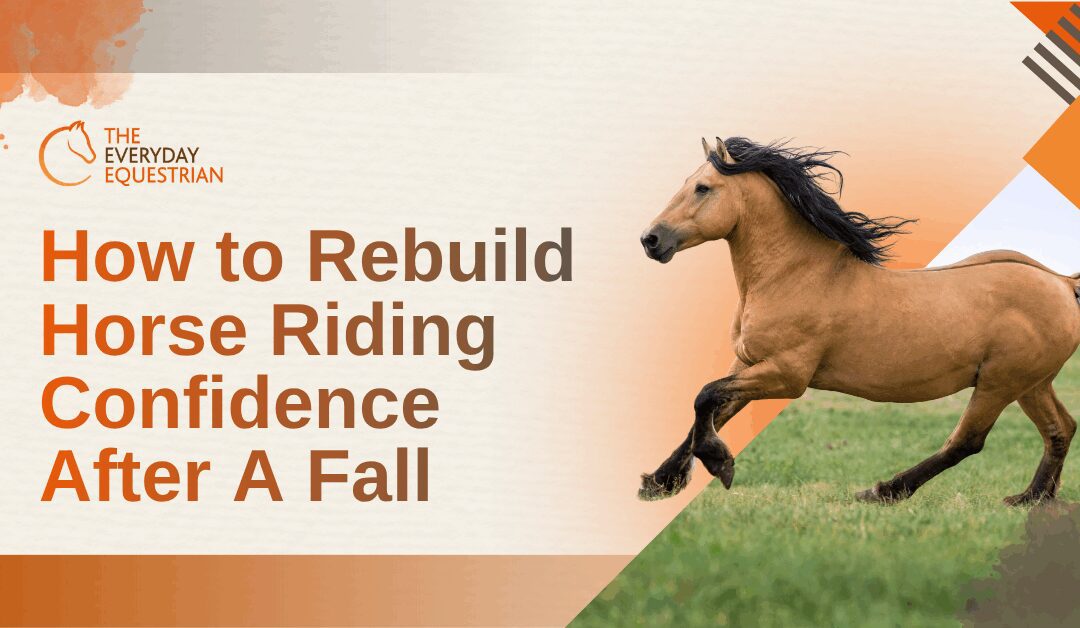 How to Rebuild Horse Riding Confidence After a Fall