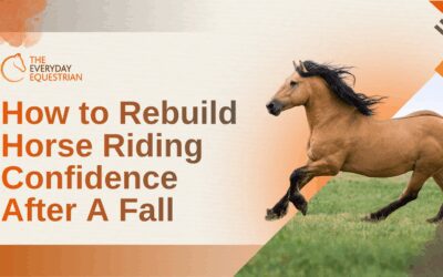 How to Rebuild Horse Riding Confidence After a Fall